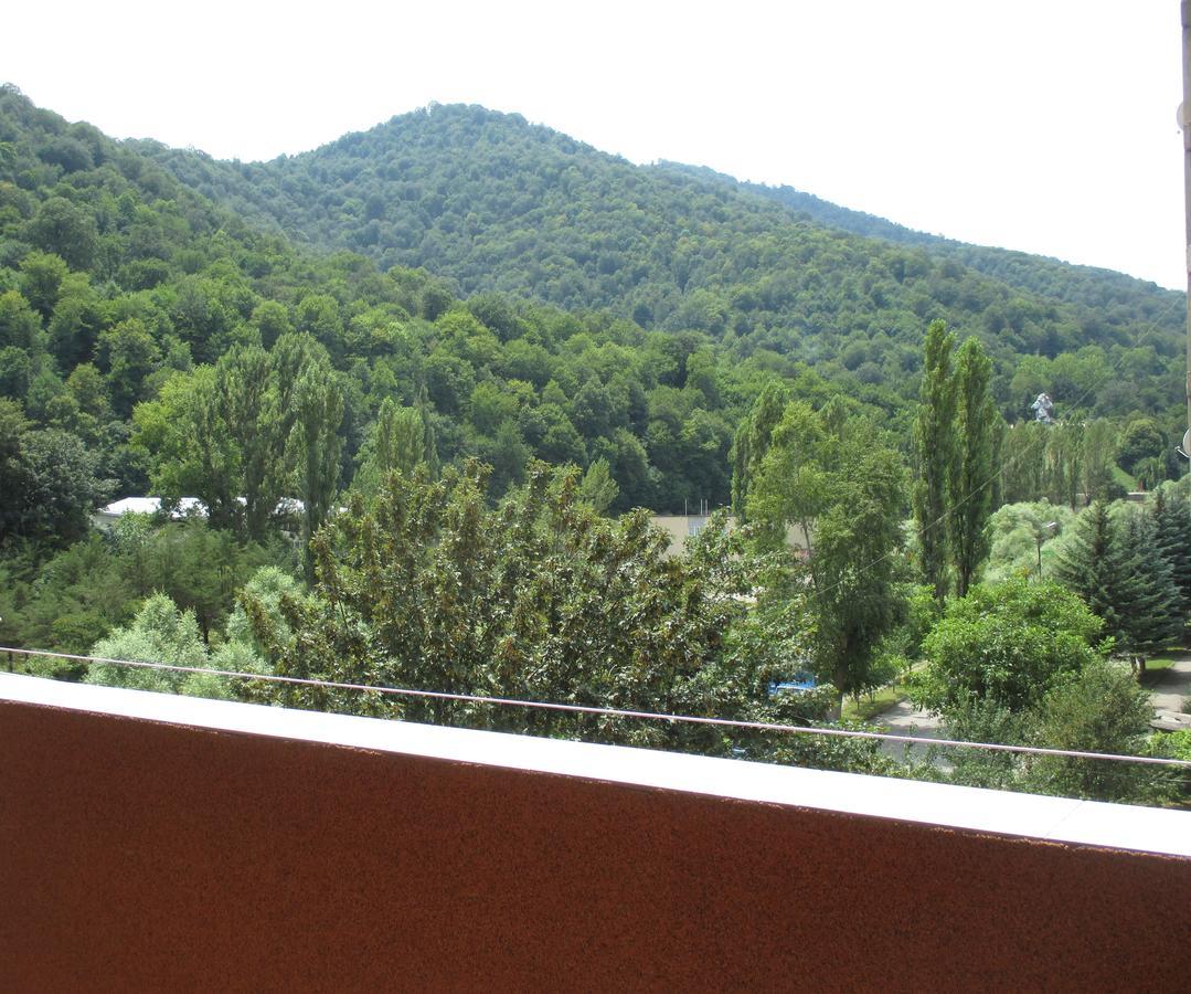 Dilijan Nice View Apartamento Exterior foto